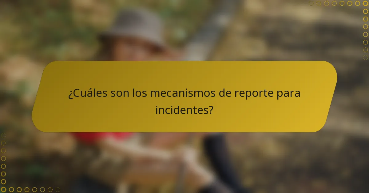 ¿Cuáles son los mecanismos de reporte para incidentes?